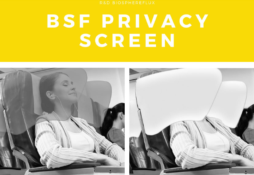 Privacy Screen